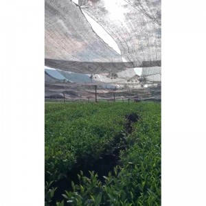 100% pure Oraka green tea matcha powder with Japanese technology produced in Thai Nguyen